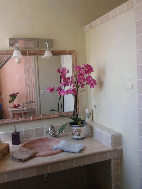 Les Jardins De L'Ermitage Bed & Breakfast Les Salles-sur-Verdon Dış mekan fotoğraf
